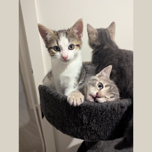 Photo of Sofia Scotty