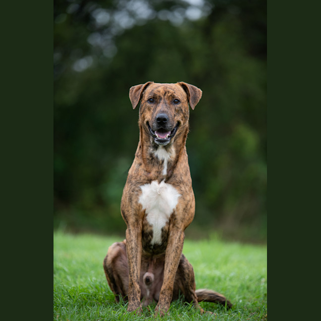 Photo of Remy