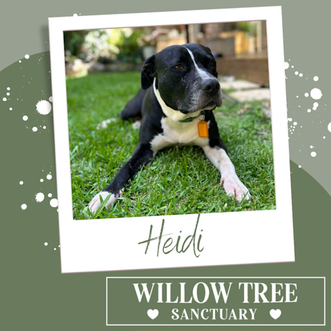 Photo of Heidi
