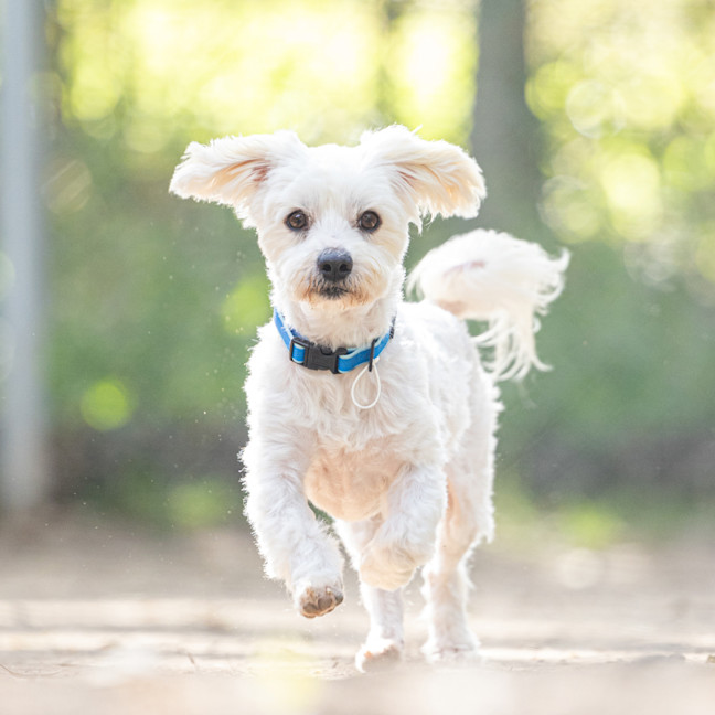 Photo of Benny