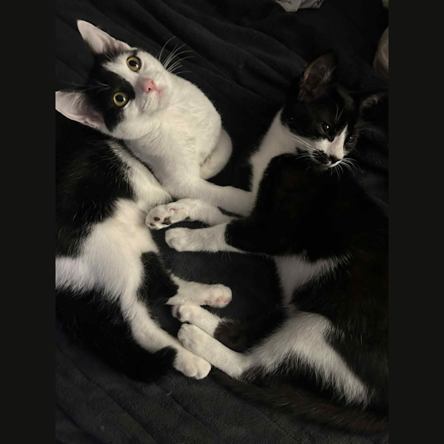 Photo of Parkway And James Bond 🥰