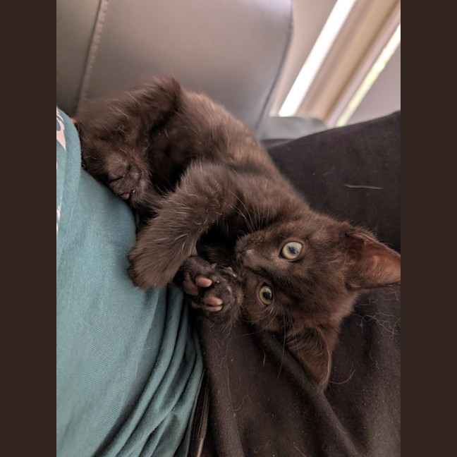 Photo of Zoe