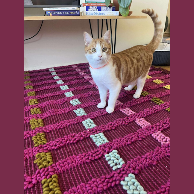 Photo of Edgar (Egg 🥚) 