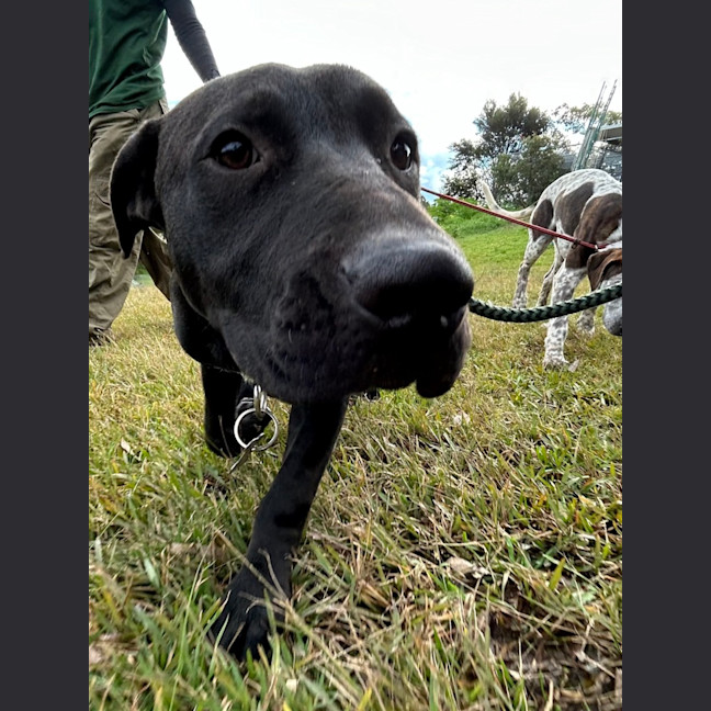 Photo of Sporty Spice