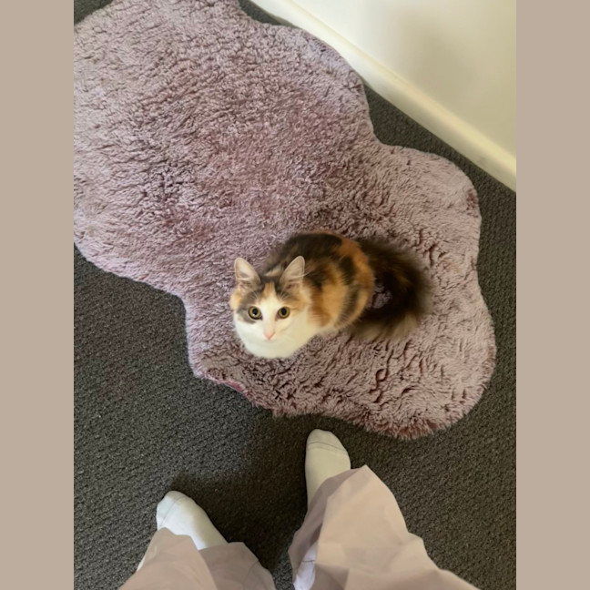 Photo of Pancake