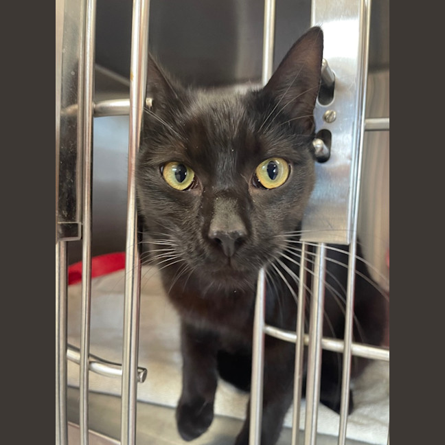 Photo of Hansel And Gretel