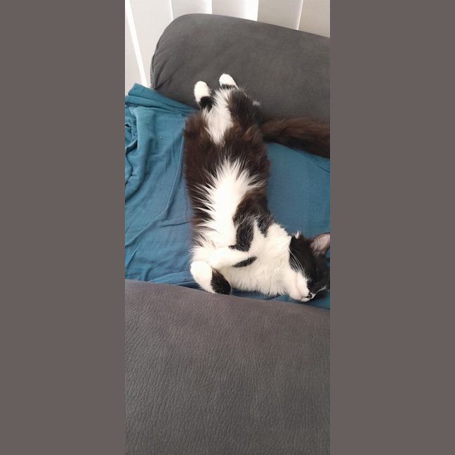 Photo of Winnie 