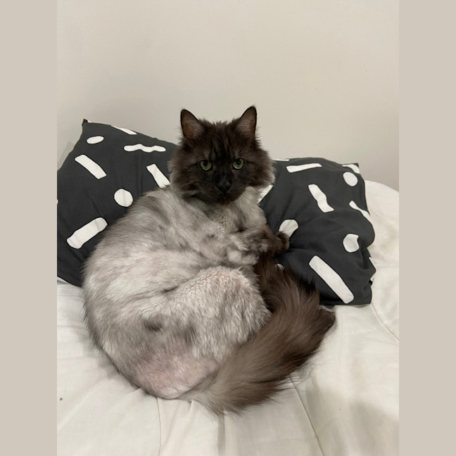 Photo of Governor Purrington