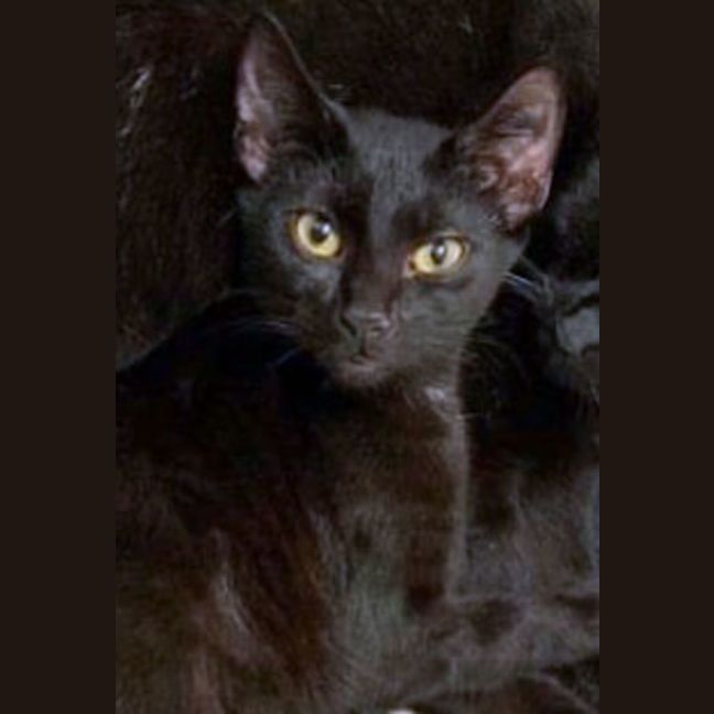 Photo of Cash And Yukon