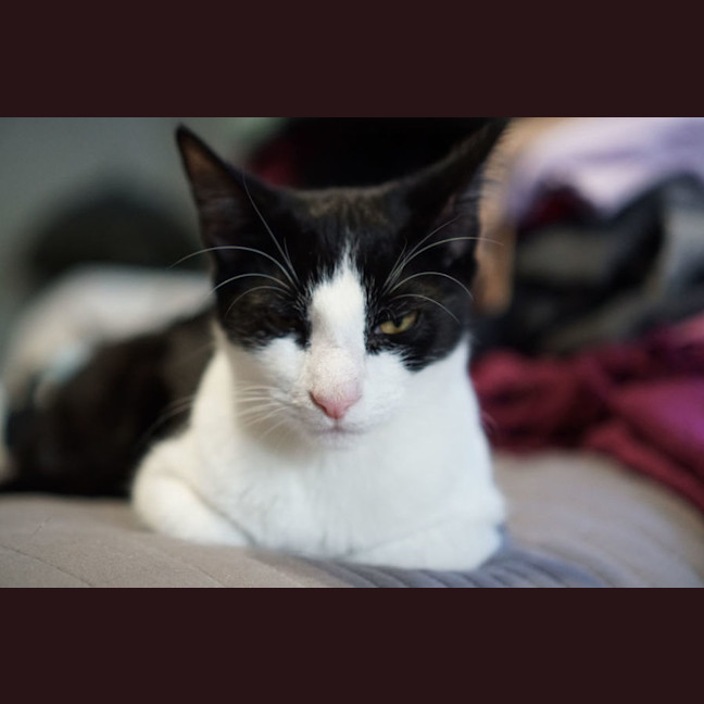 Photo of Elijah