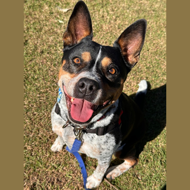 Photo of Leela