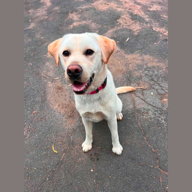 Photo of Happy