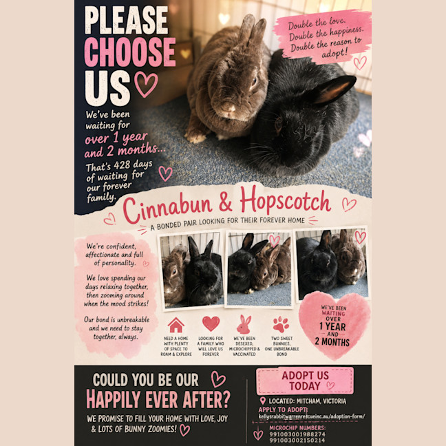 Photo of Cinnabun & Hopscotch
