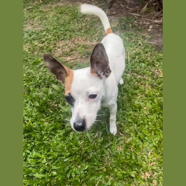 Photo of Lily
