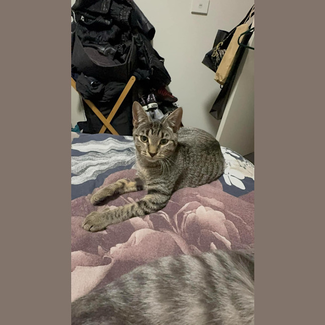 Photo of Jinx