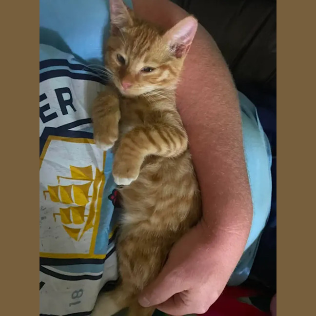 Photo of Garfield