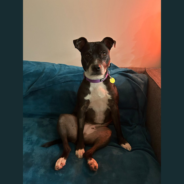 Photo of Cambria