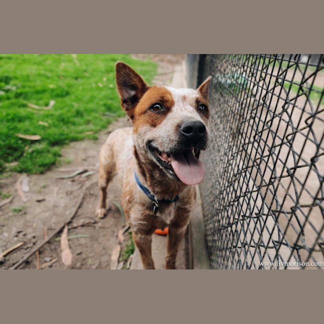 Photo of Nala Jablonksi