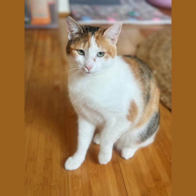 Photo of Cass
