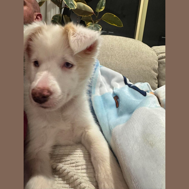 Photo of Tilly