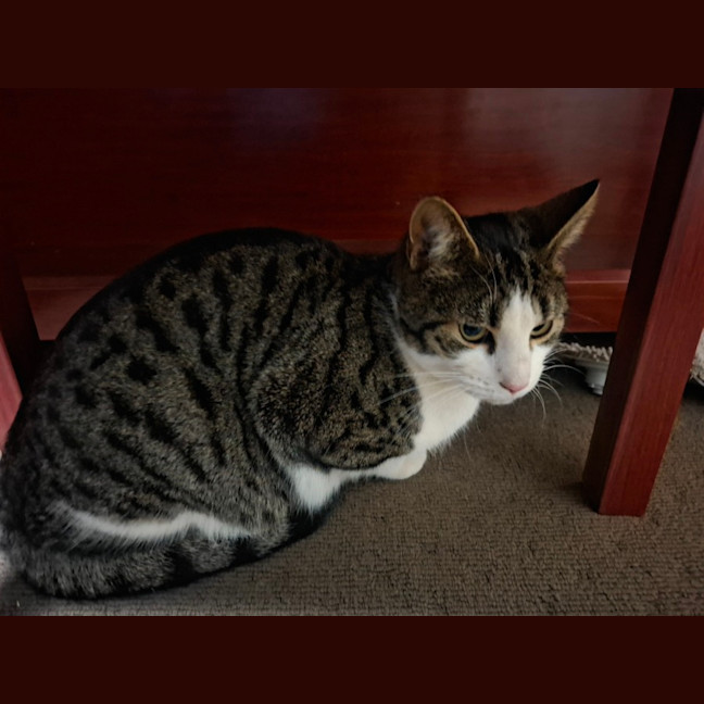 Photo of Tubby
