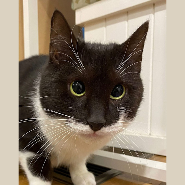 Photo of Maggie