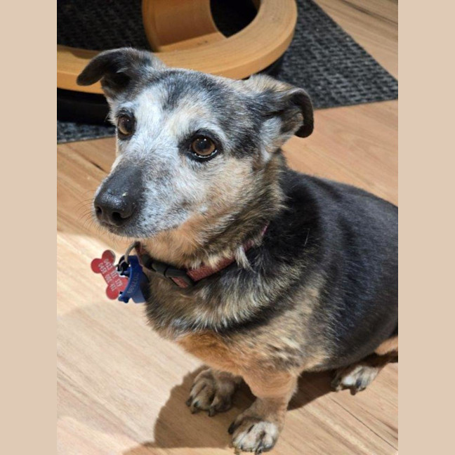 Photo of Barney Lozano