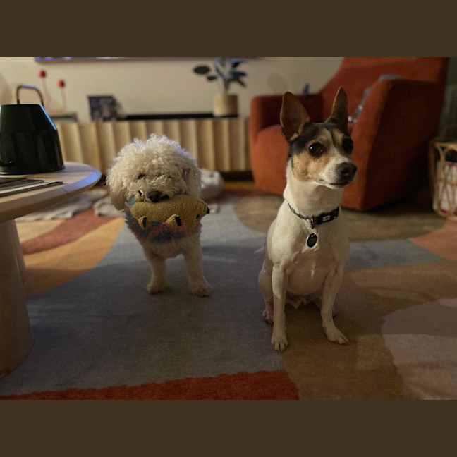 Photo of Oscar And Tilly Tamblyn