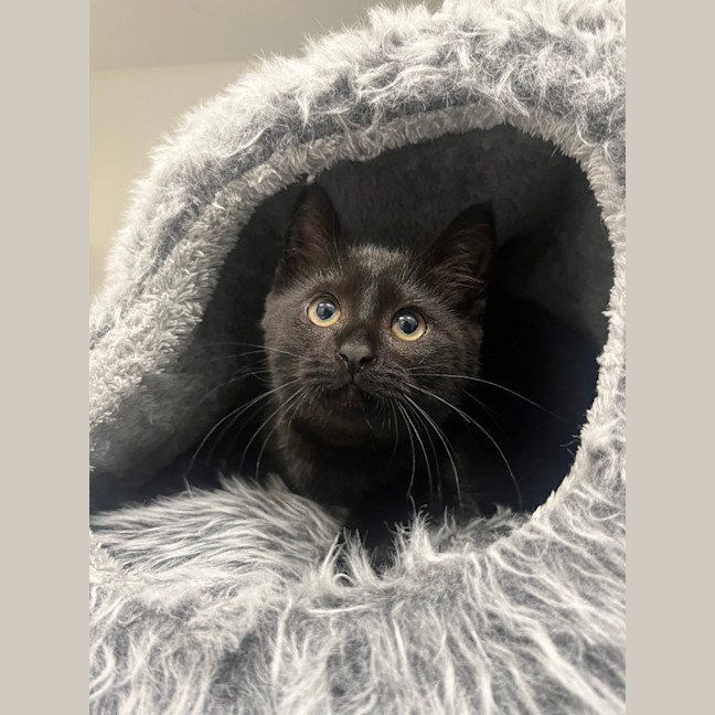 Photo of Spice