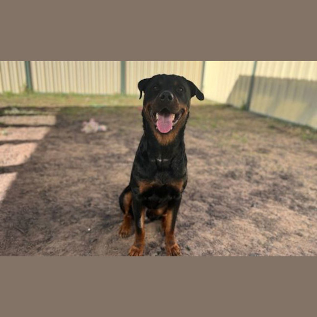 Photo of Elvis