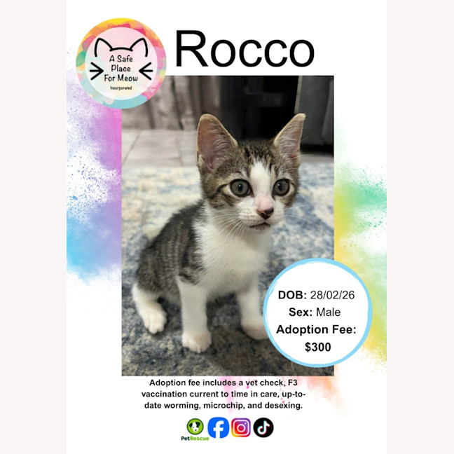 Photo of Rocco