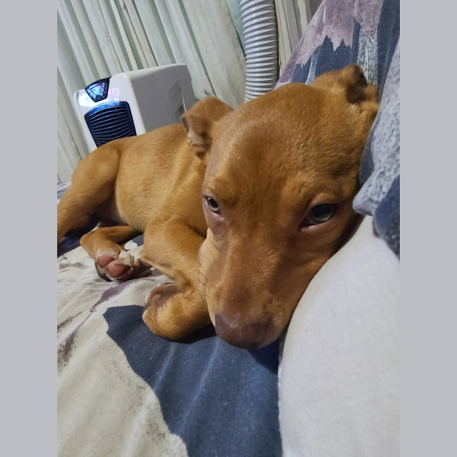 Photo of Mellyjane