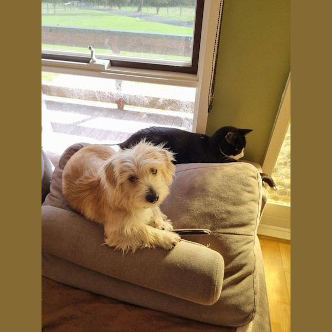 Photo of Georgie O'cleary