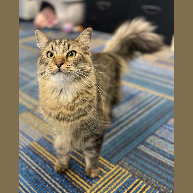 Photo of Timmy