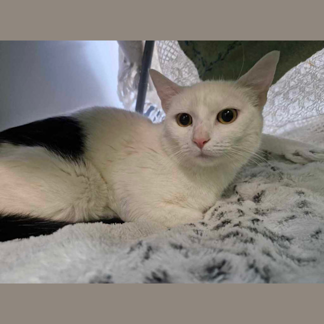 Photo of Queen Elinor 