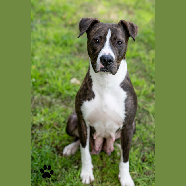 Photo of Sally