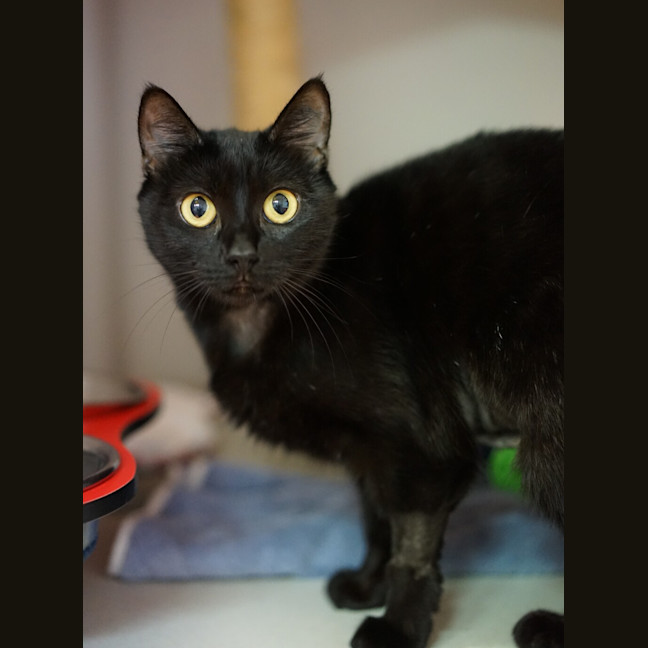 Photo of Mavis