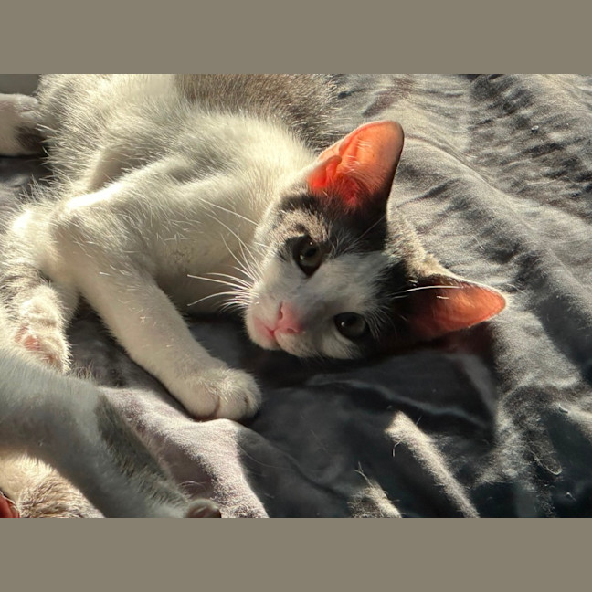 Photo of Amelia 🌺🦋