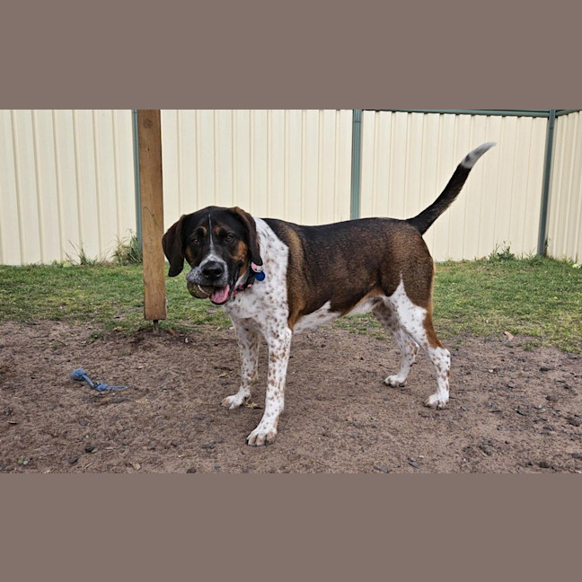 Photo of Georgie Porgie