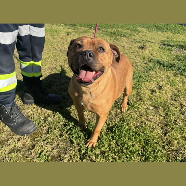 Photo of Nylah Imp 1765