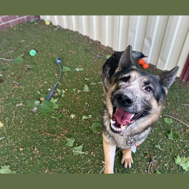 Photo of Maggie