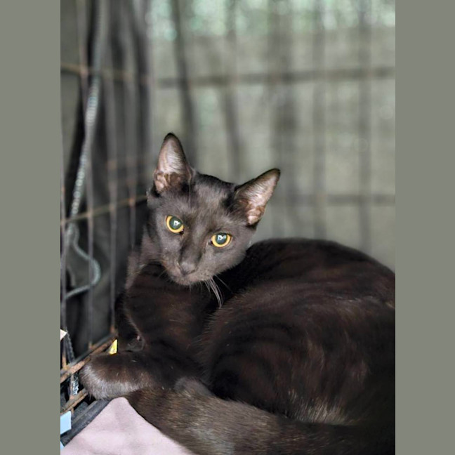 Photo of Martha