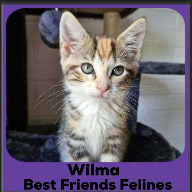 Photo of Wilma