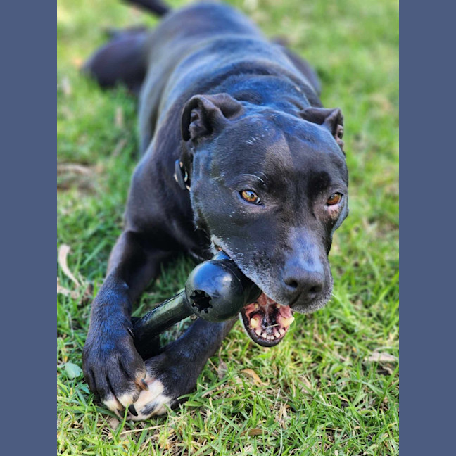 Photo of 🍂 Sienna 5634 🍂