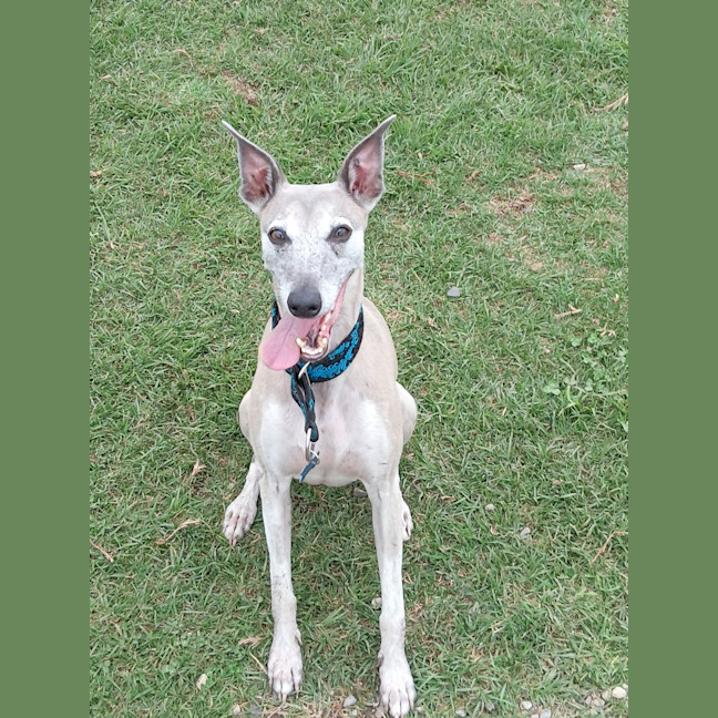 Photo of Gus