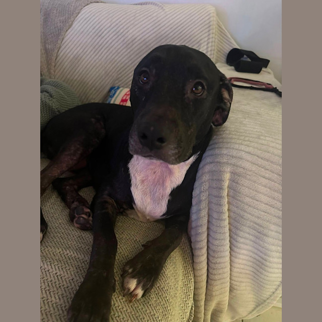 Photo of Roxy