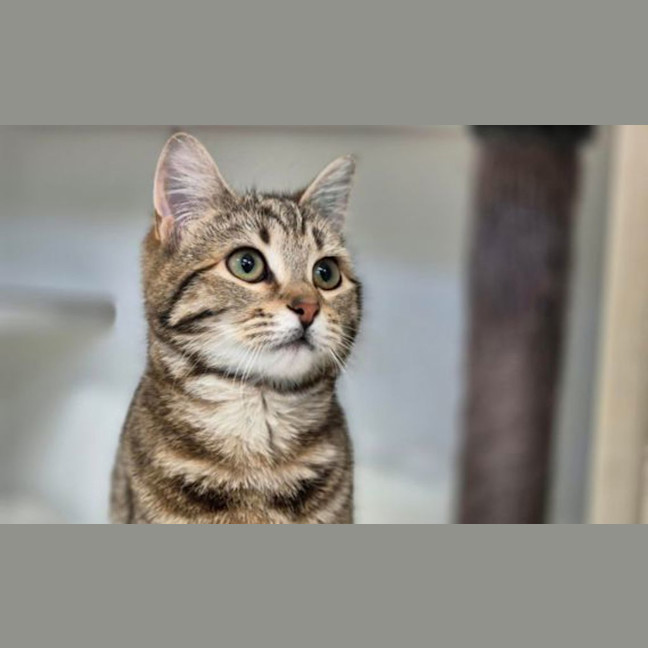 Photo of Mimi