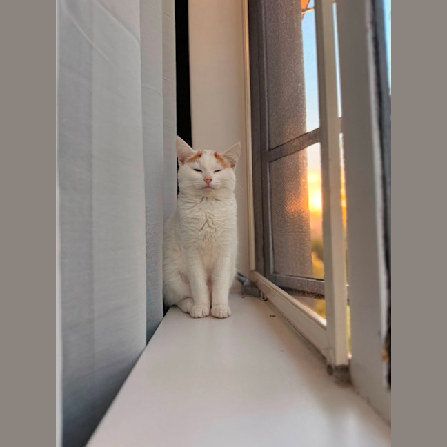 Photo of Kira