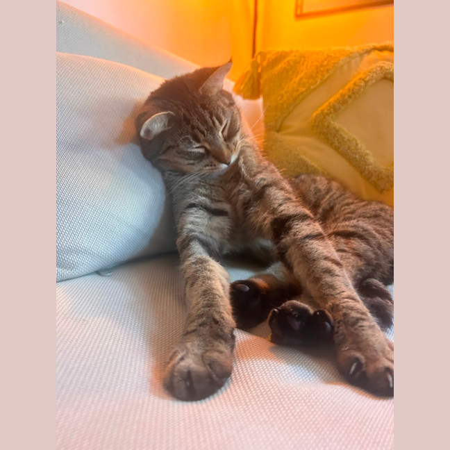 Photo of Baby 🌸