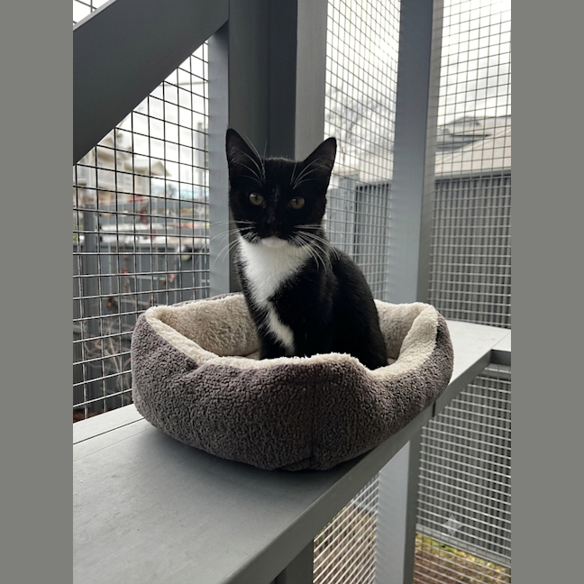 Photo of Olivia